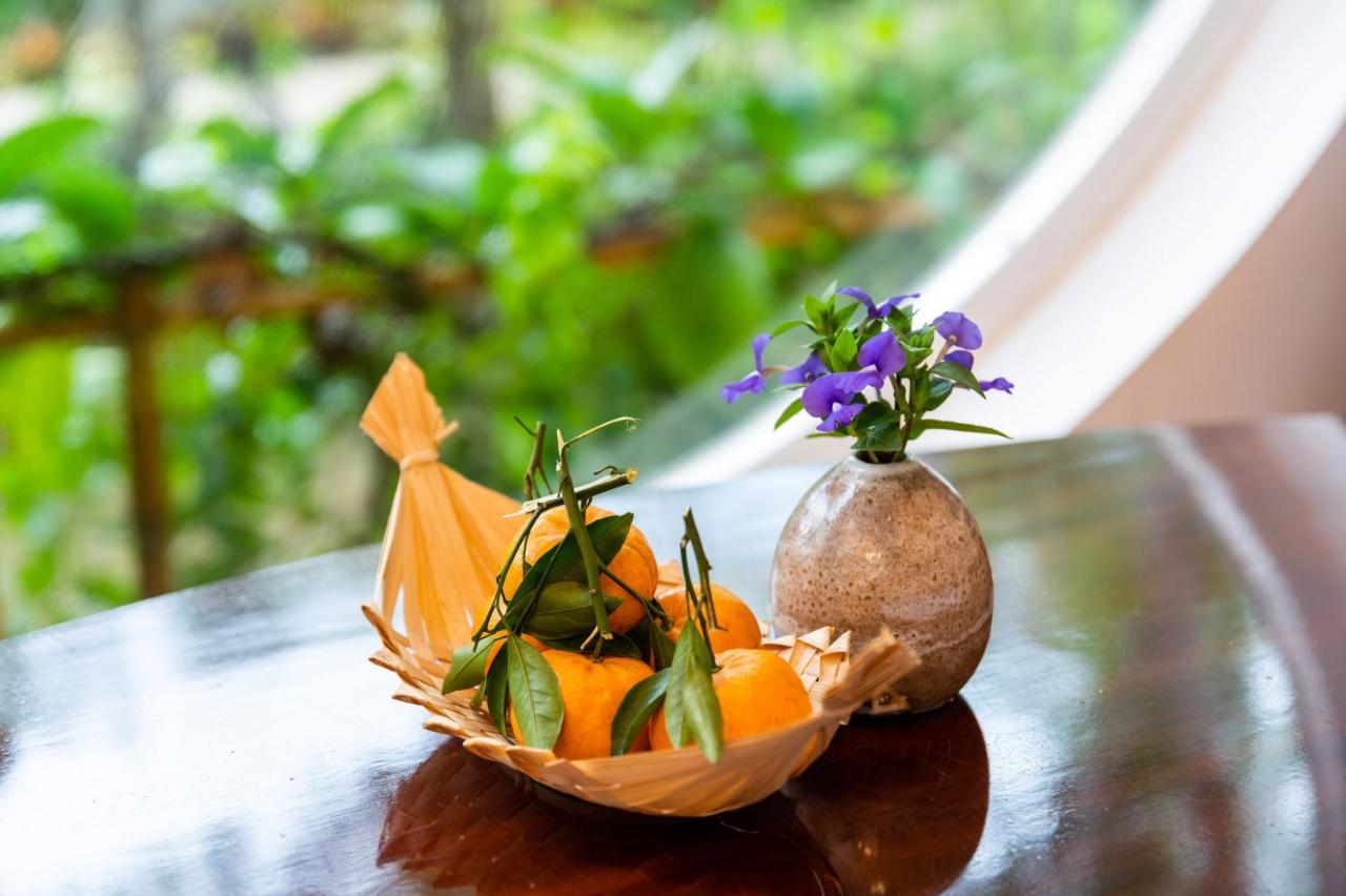 Binh Minh Eco Lodge Cần Thơ Extérieur photo